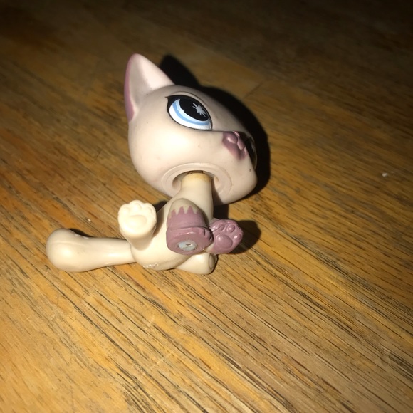 COPY - Lps littlest pet shop sitting shorthair cat - Picture 3 of 3